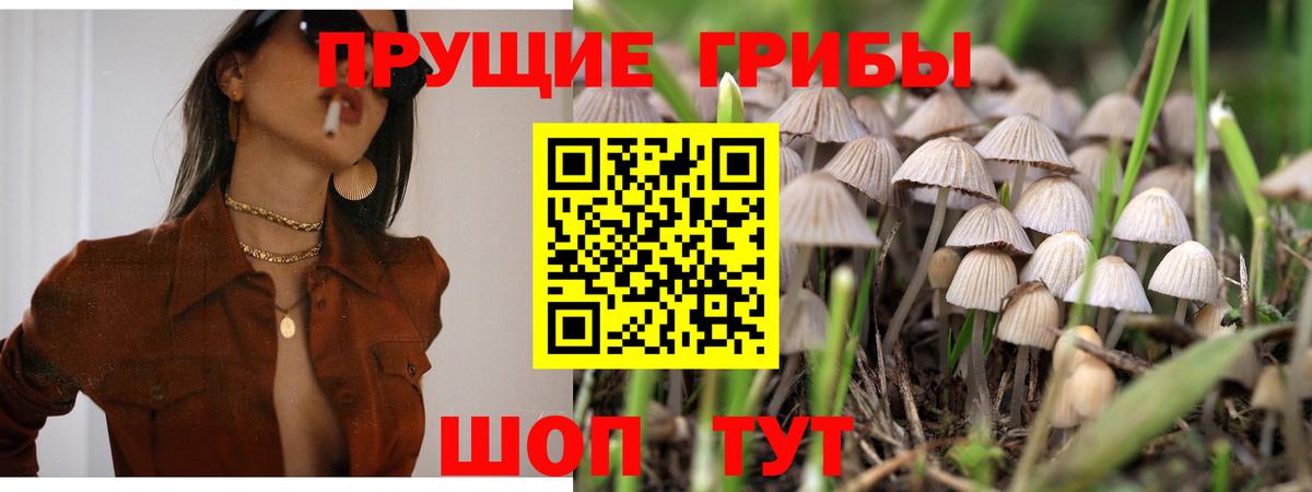 Псилоцибиновые грибы мицелий  Вход с VPN  Ипатово  Галлюциногенные грибы ЛСД 